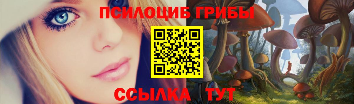 Псилоцибиновые грибы MAGIC MUSHROOMS  Вход с VPN  Видное 